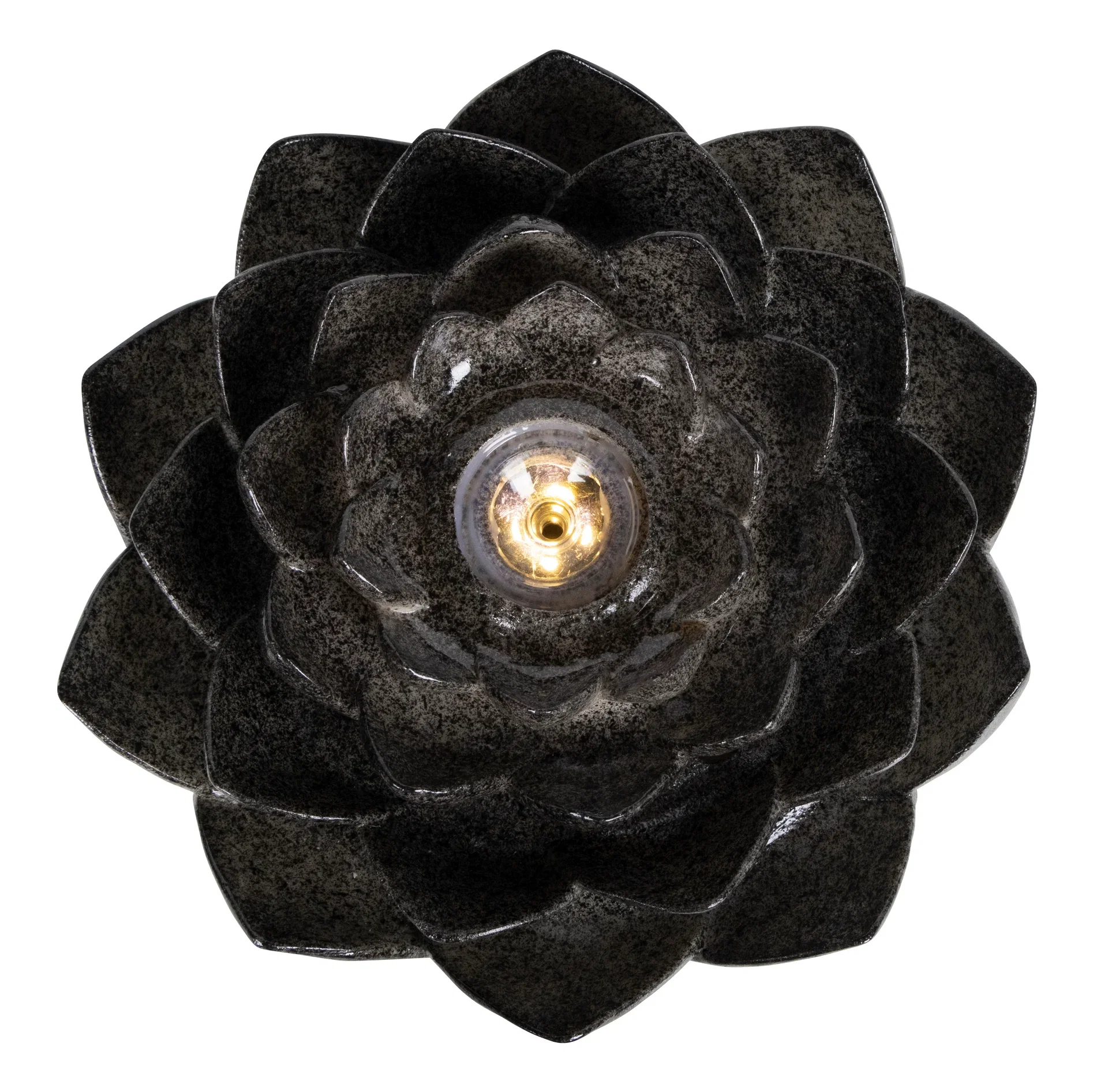 Fountain Lotus