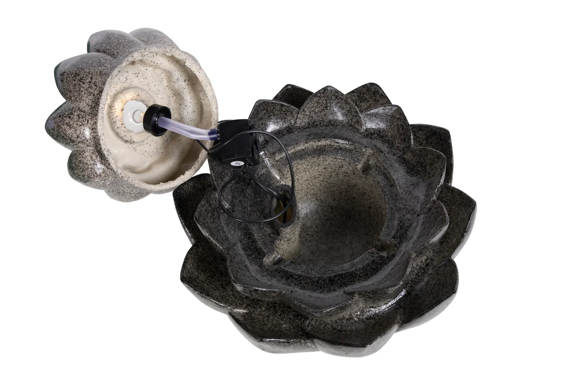 Fountain Lotus
