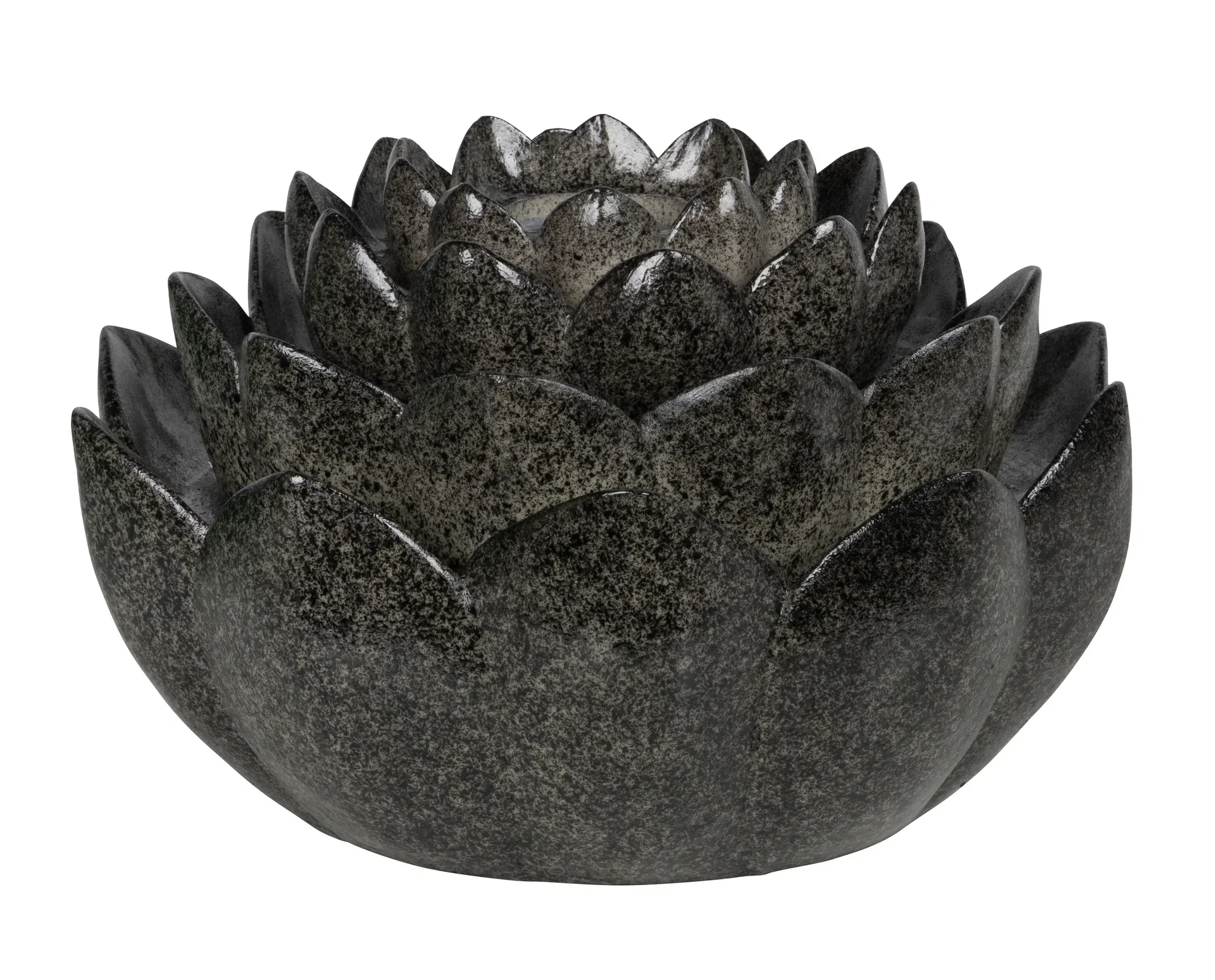 Fountain Lotus