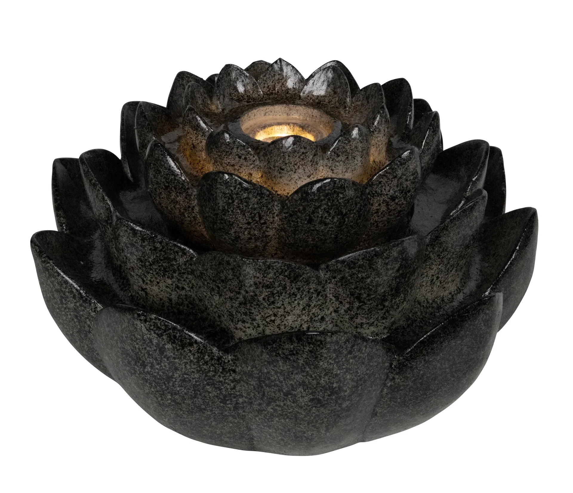 Fountain Lotus