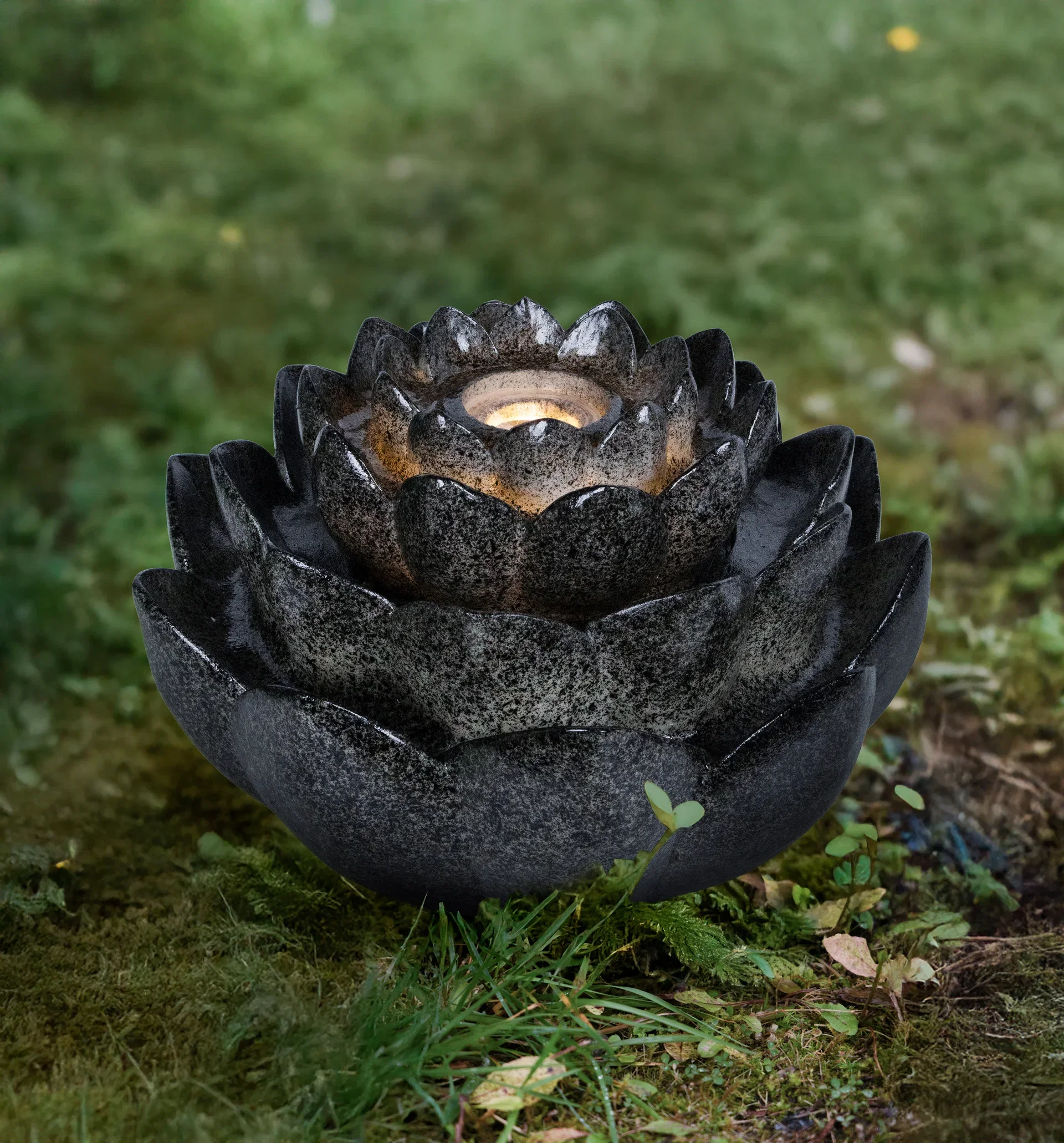 Fountain Lotus