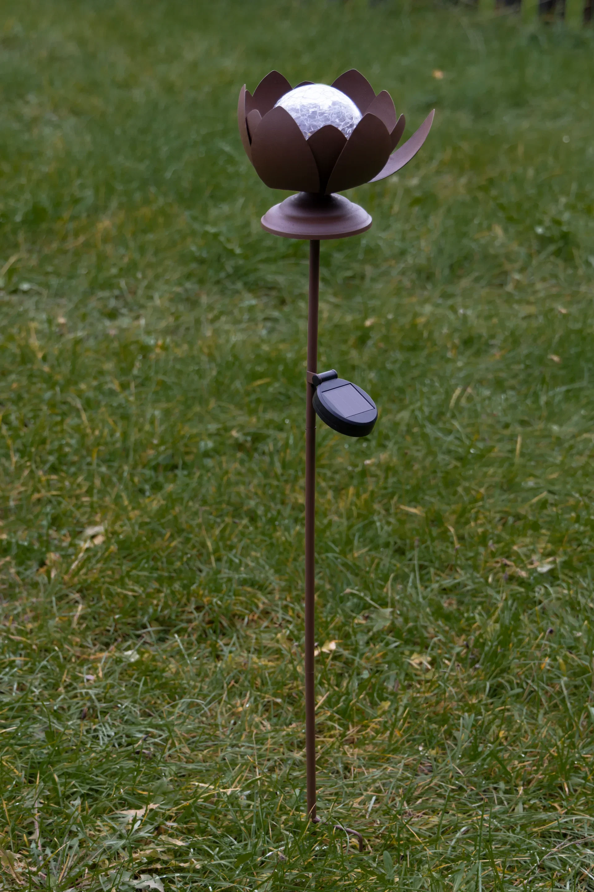 Lantern Lotus Solar