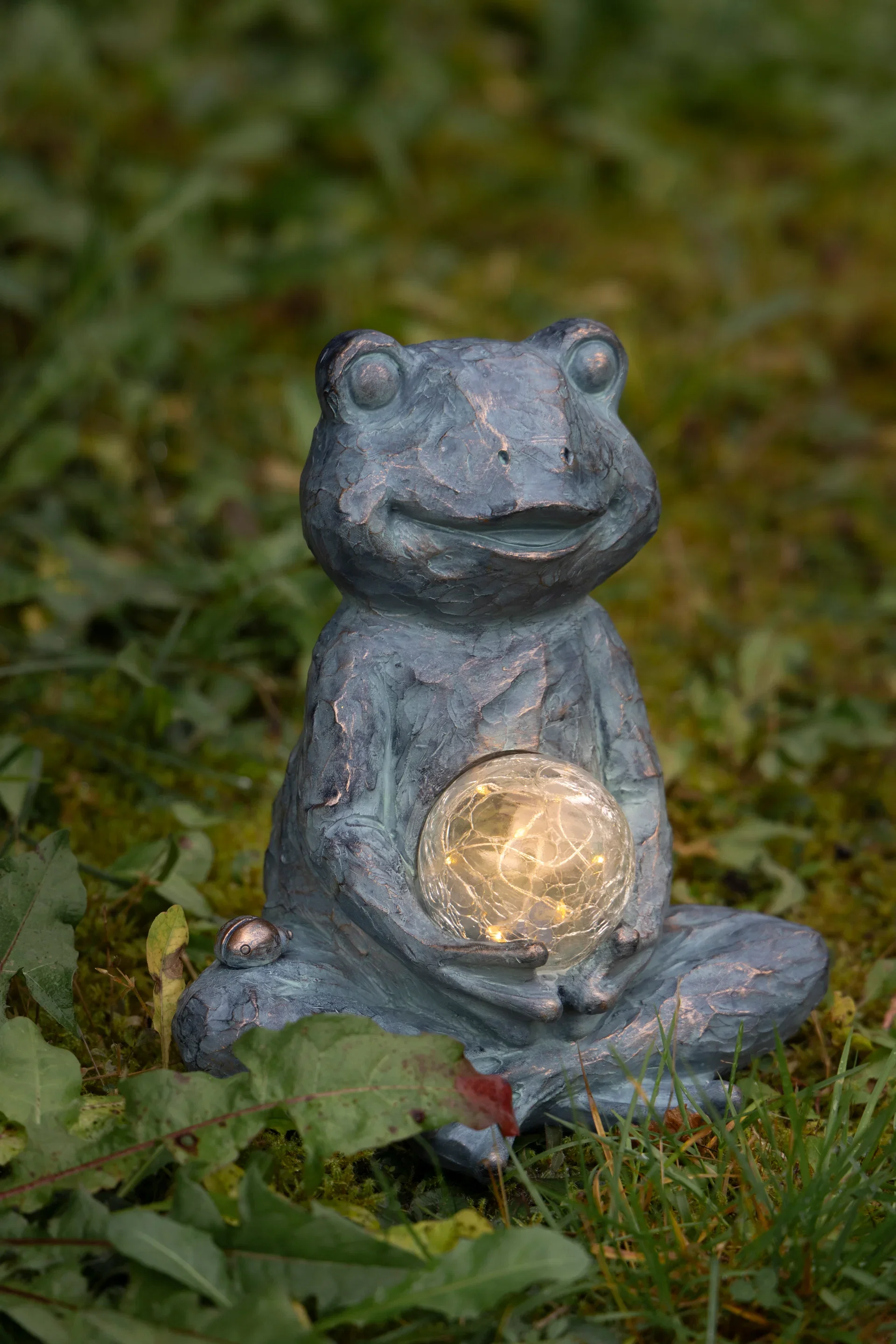 Frog Solar