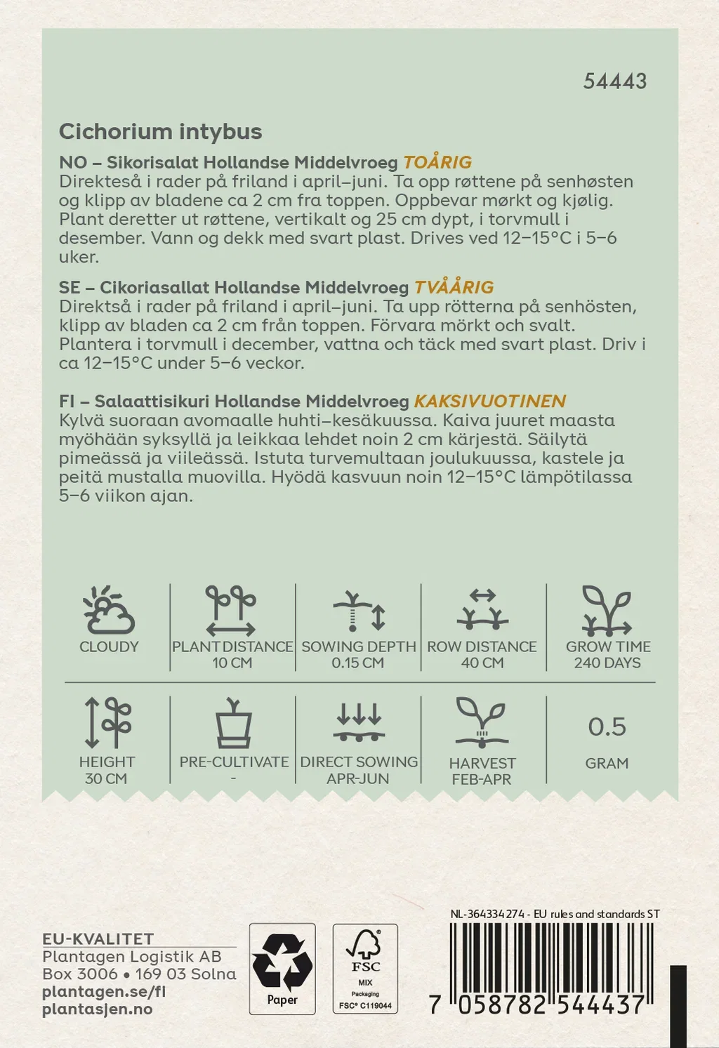 Chicory 'Hollandse Middelvroeg' (Skal 014218) - Organic