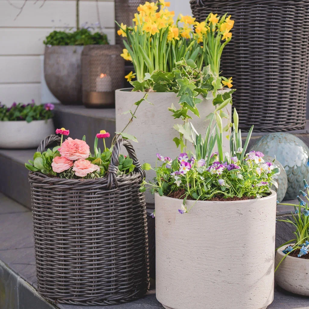 Vårblommor i kruka – dekorera entrén inför våren