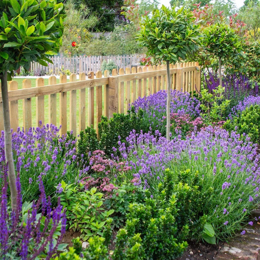 MEDITERRANEAN GARDEN - relaxed, warm and fragrant