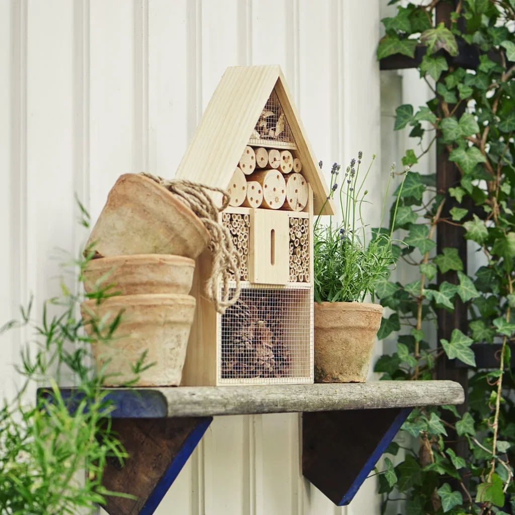 SUSTAINABLE GARDEN – short distance, tasty and bee-friendly