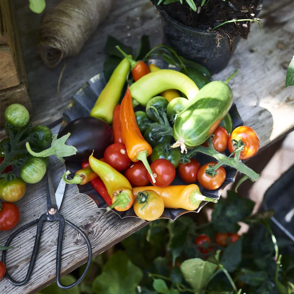 SUSTAINABLE GARDEN – short distance, tasty and bee-friendly