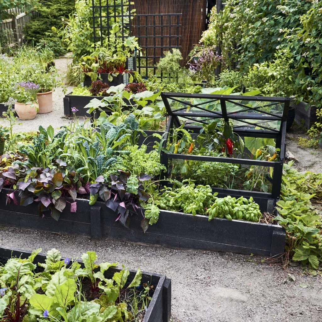 SUSTAINABLE GARDEN – short distance, tasty and bee-friendly