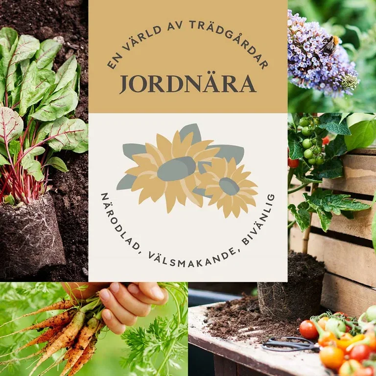 JORDNÄRA TRÄDGÅRD  – närodlad, välsmakande och bivänlig