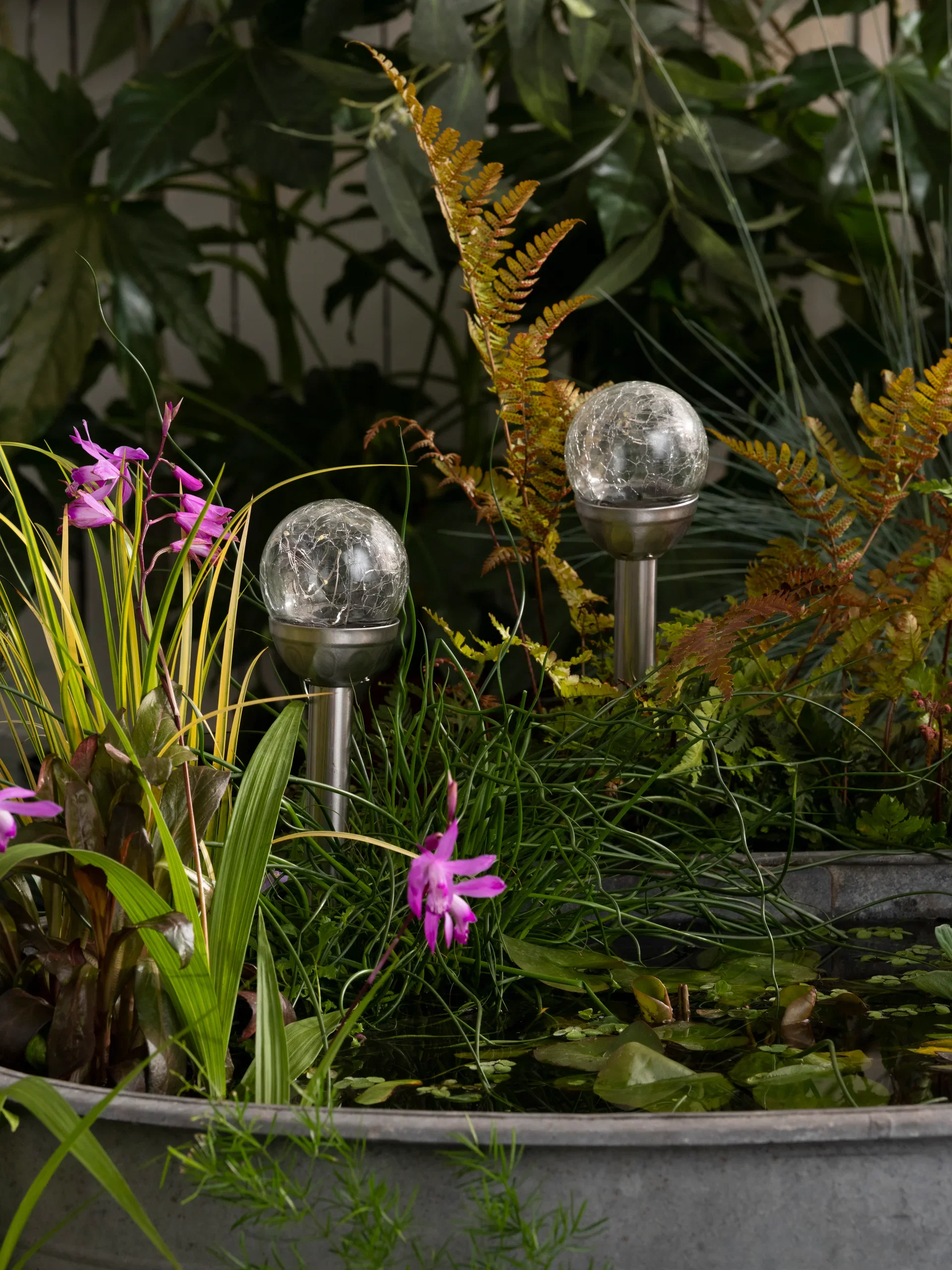 Solar lamp Conga