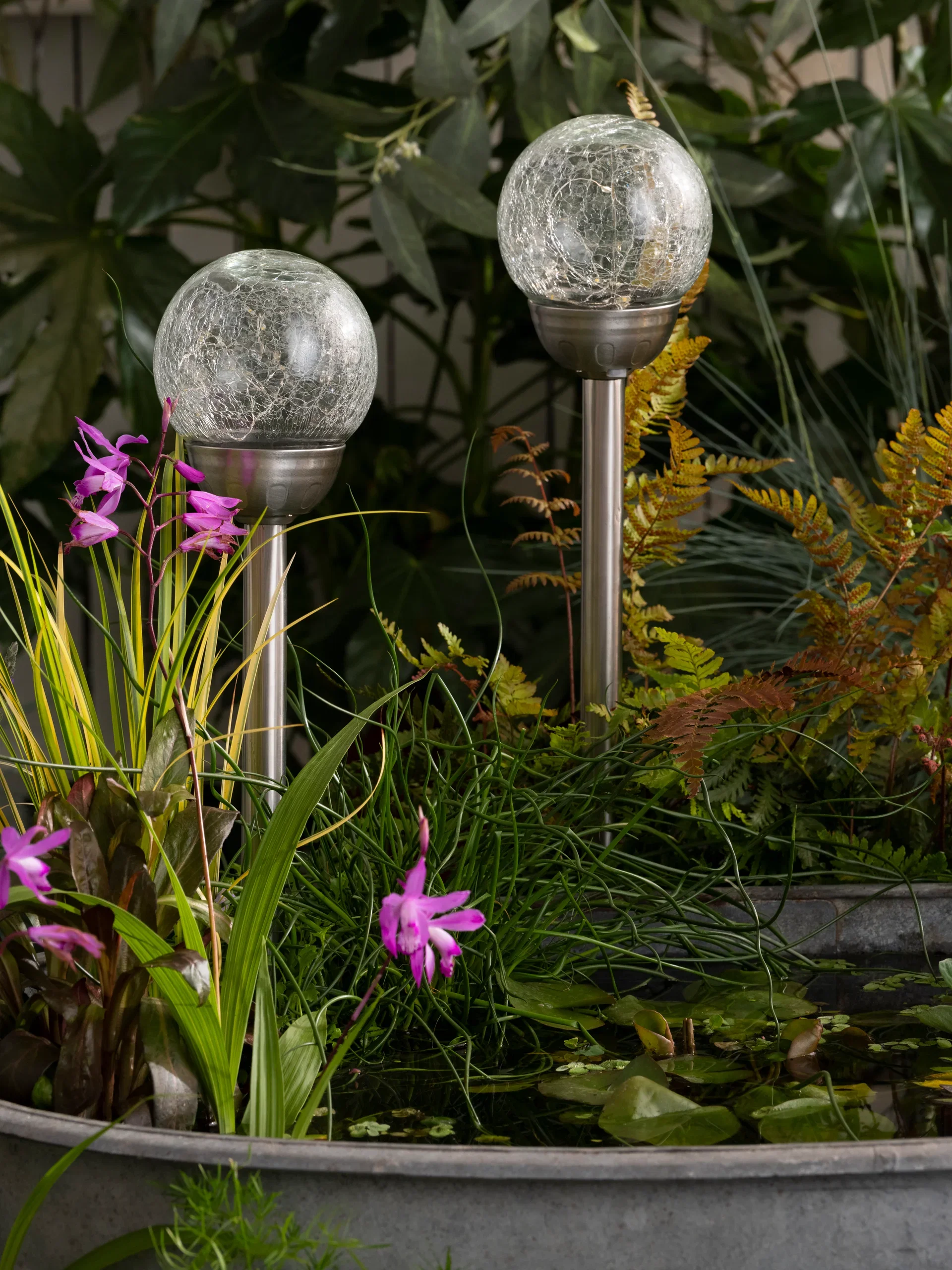 Solar lamp Merengue