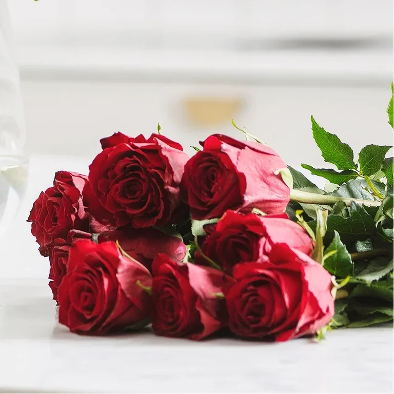 Plantagens rosor – från odlare till butik 