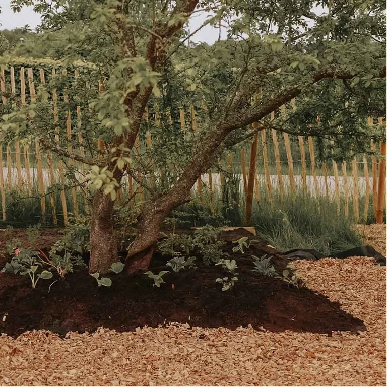 No Dig perennplantering – anlägg en rabatt utan att gräva 