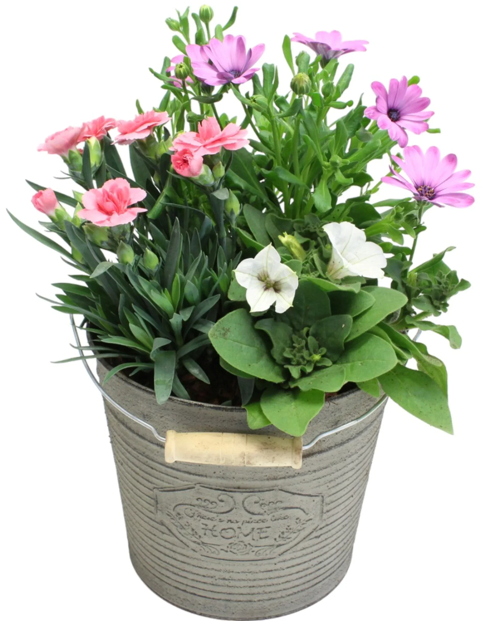 Summer arr. Dianthus in zink basket