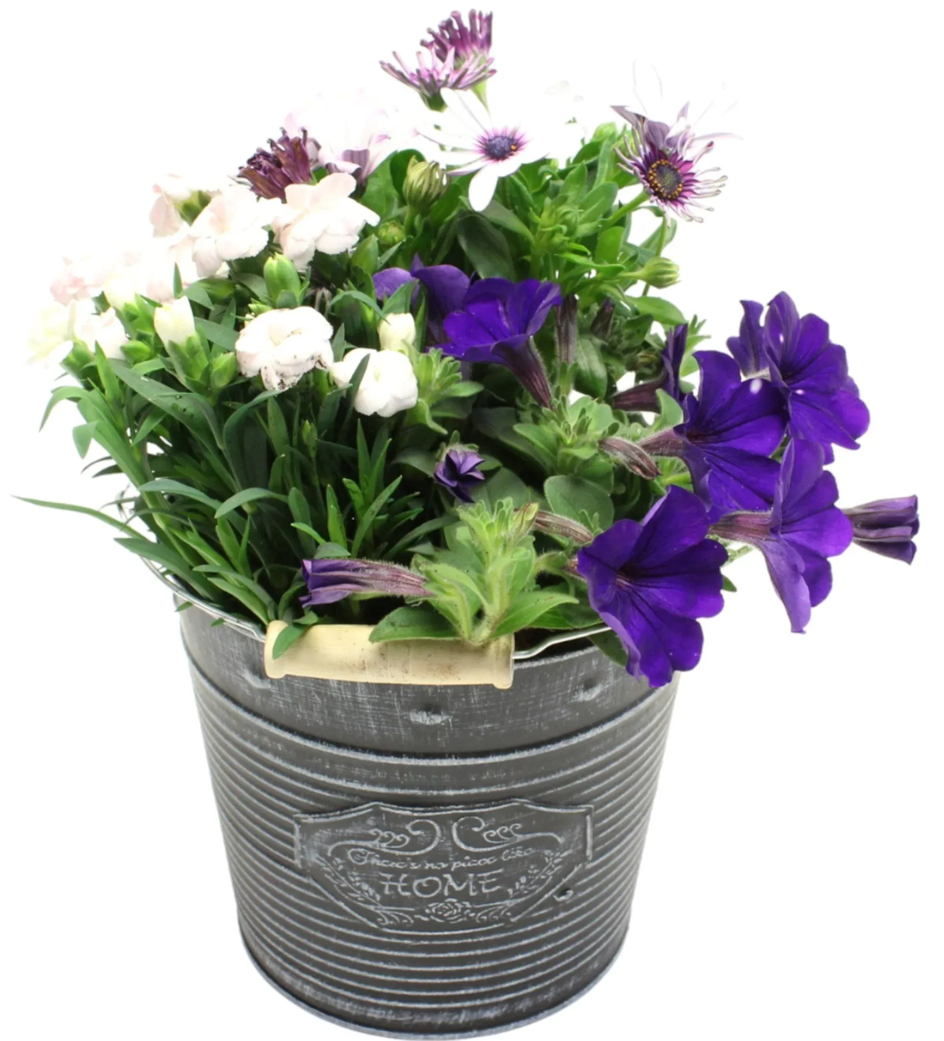 Summer arr. Dianthus in zink basket