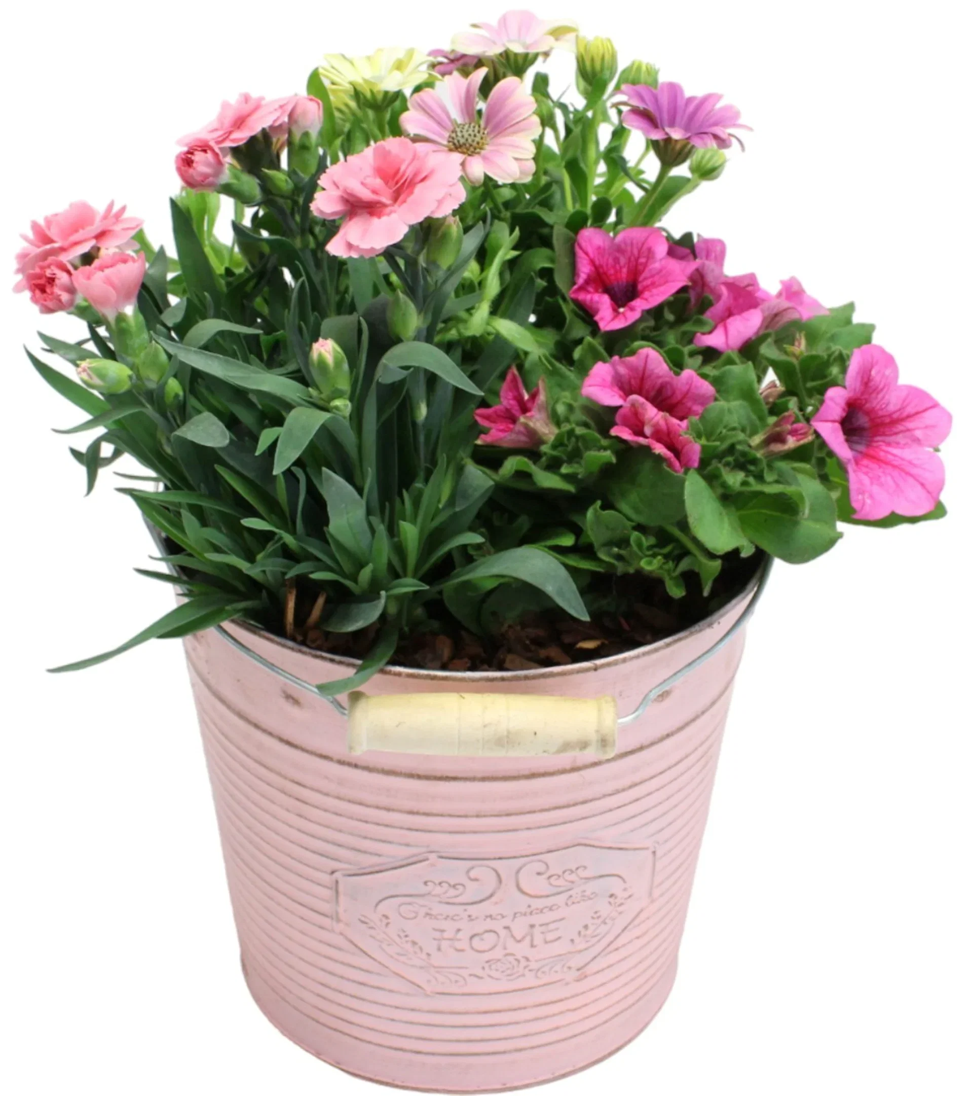 Summer arr. Dianthus in zink basket