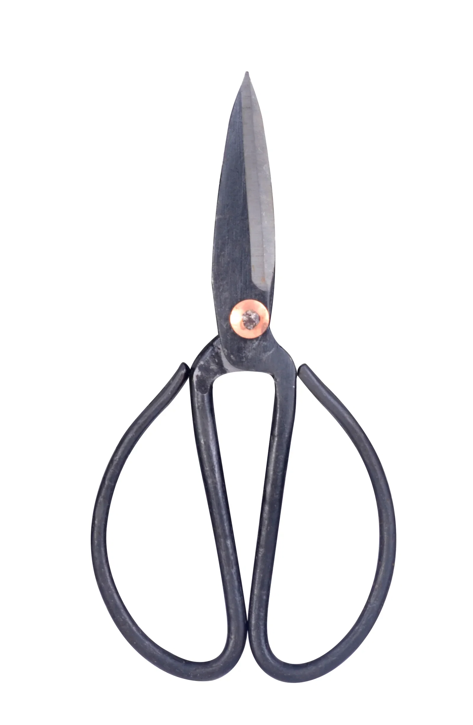 Old fashion herb scissor 11,5cm L