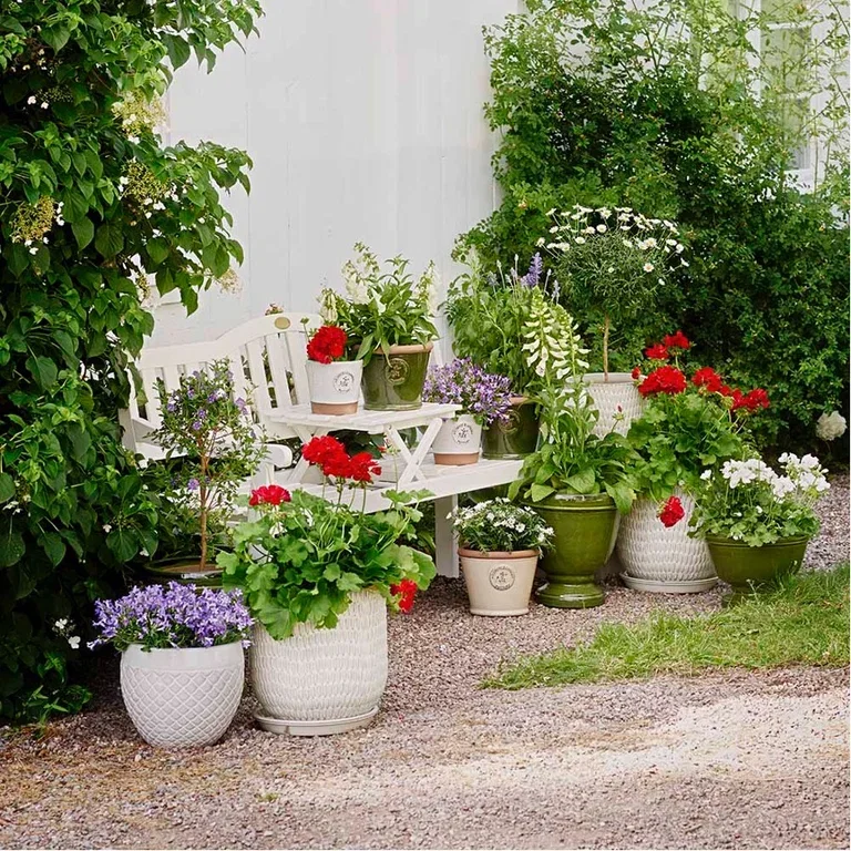 Plantera en trädgård i krukor