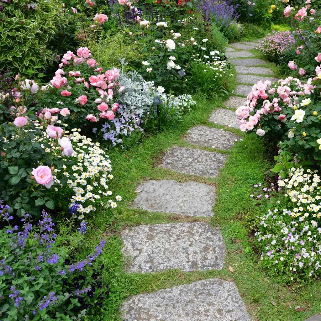 ROMANTISK TRÄDGÅRD – doftande, vildvuxen och blommig