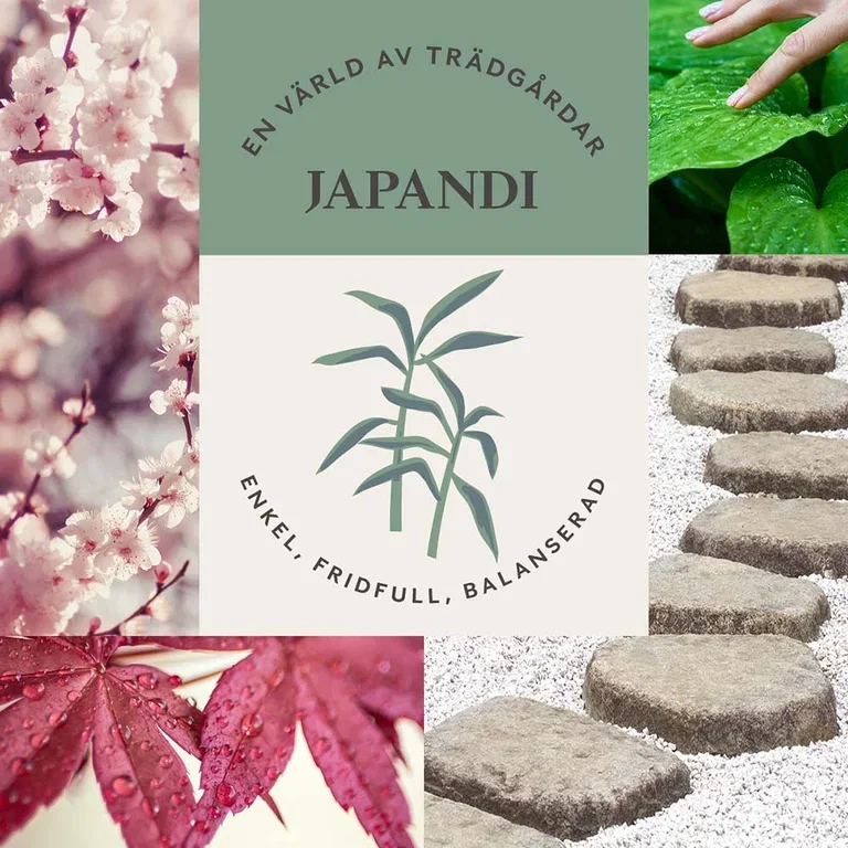JAPANDI-TRÄDGÅRD  – enkel, fridfull och balanserad