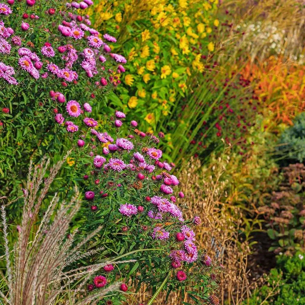 Extend summer in the garden