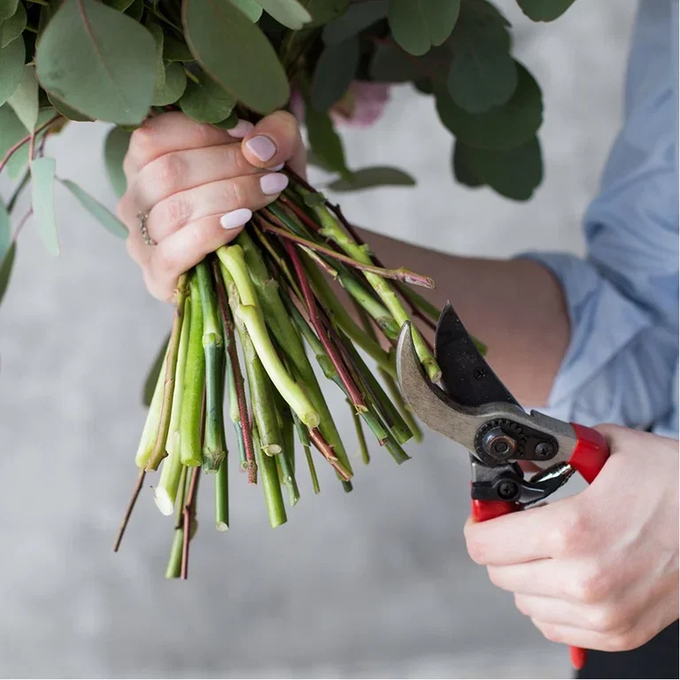 Bind din egen blombukett – lär dig spiraltekniken 