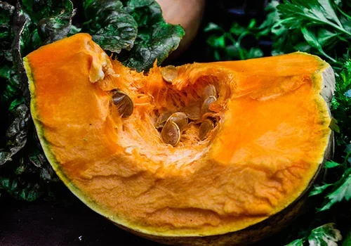 Pumpkins – how to grow your own