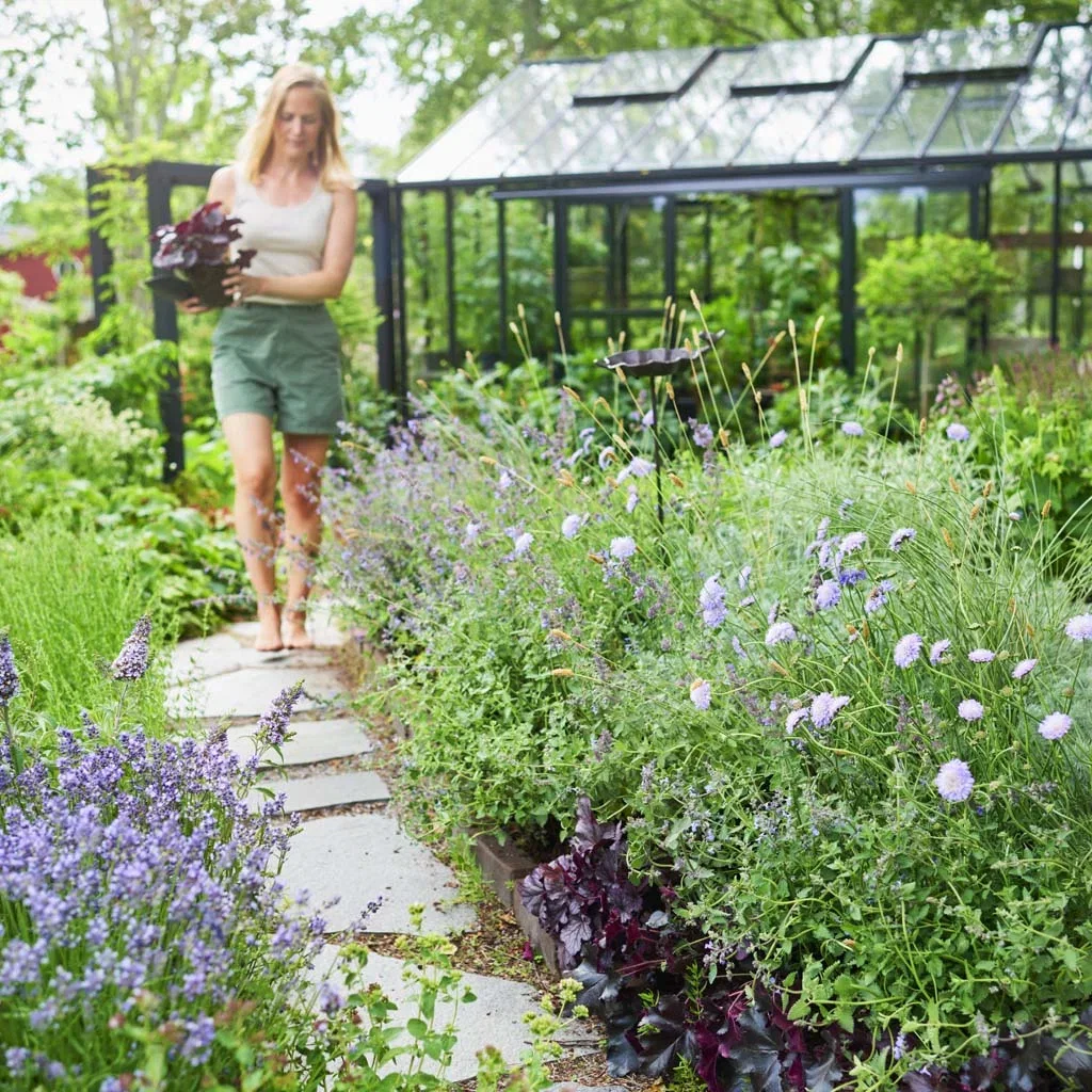 Hot outdoor plant trends in 2025