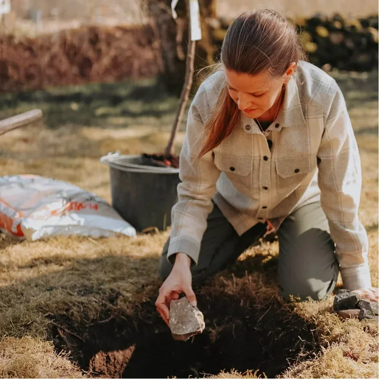 Plantera fruktträd – trädgårdsmästarens bästa tips