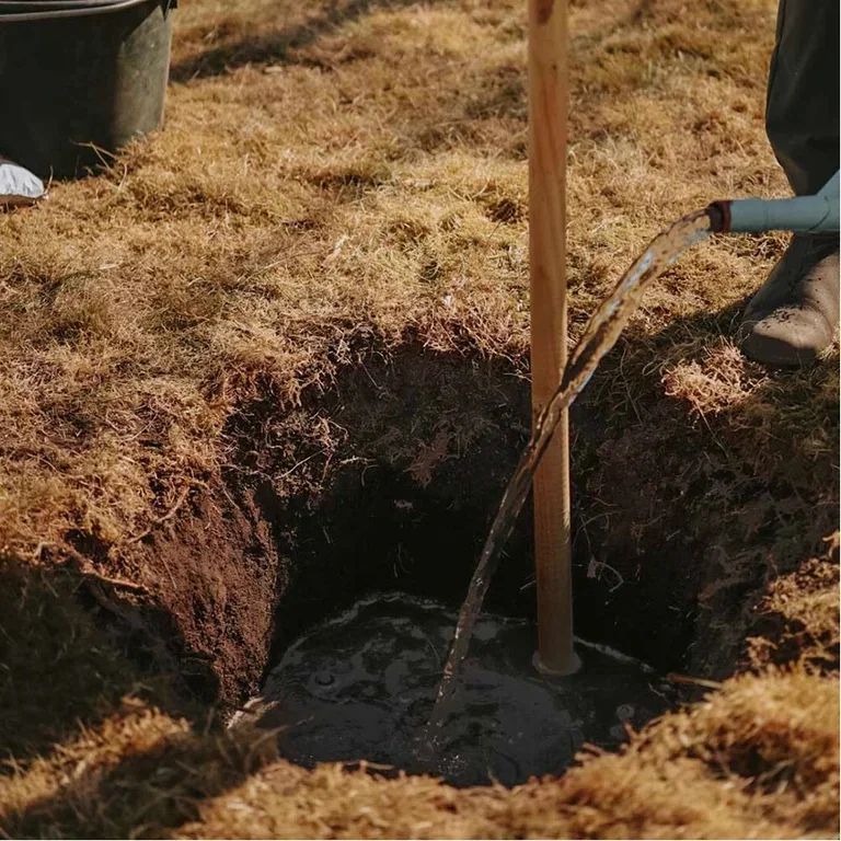 Plantera fruktträd – trädgårdsmästarens bästa tips