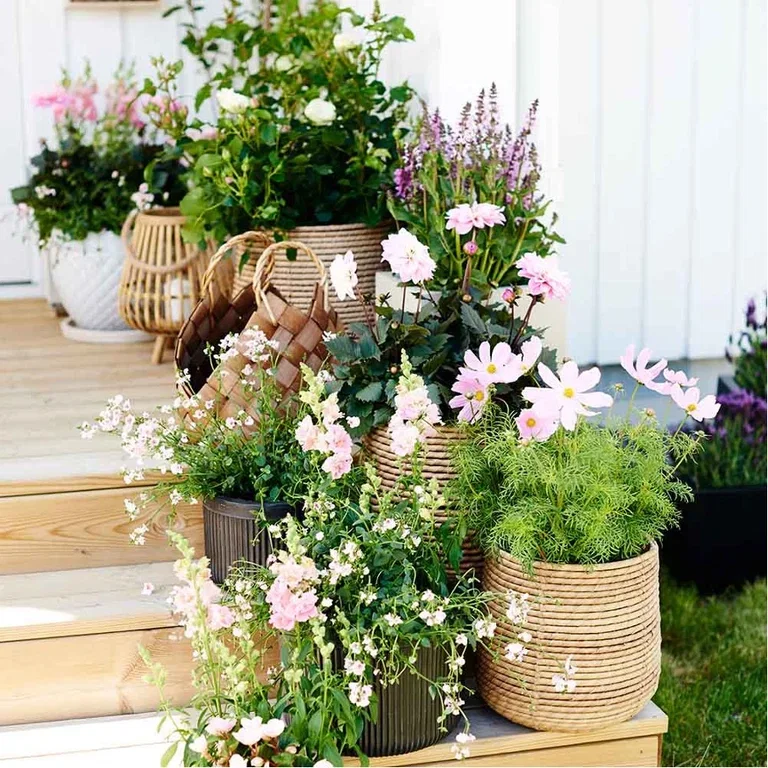 Sommarblommor i kruka – dekorera entrén inför sommaren 