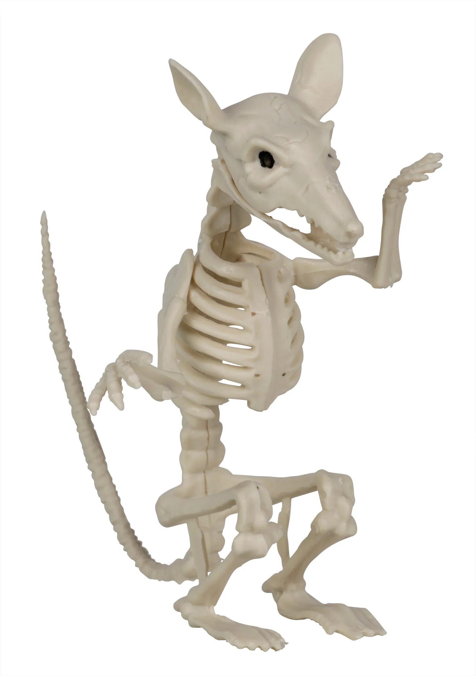 Halloween-dekoration skelett råtta
