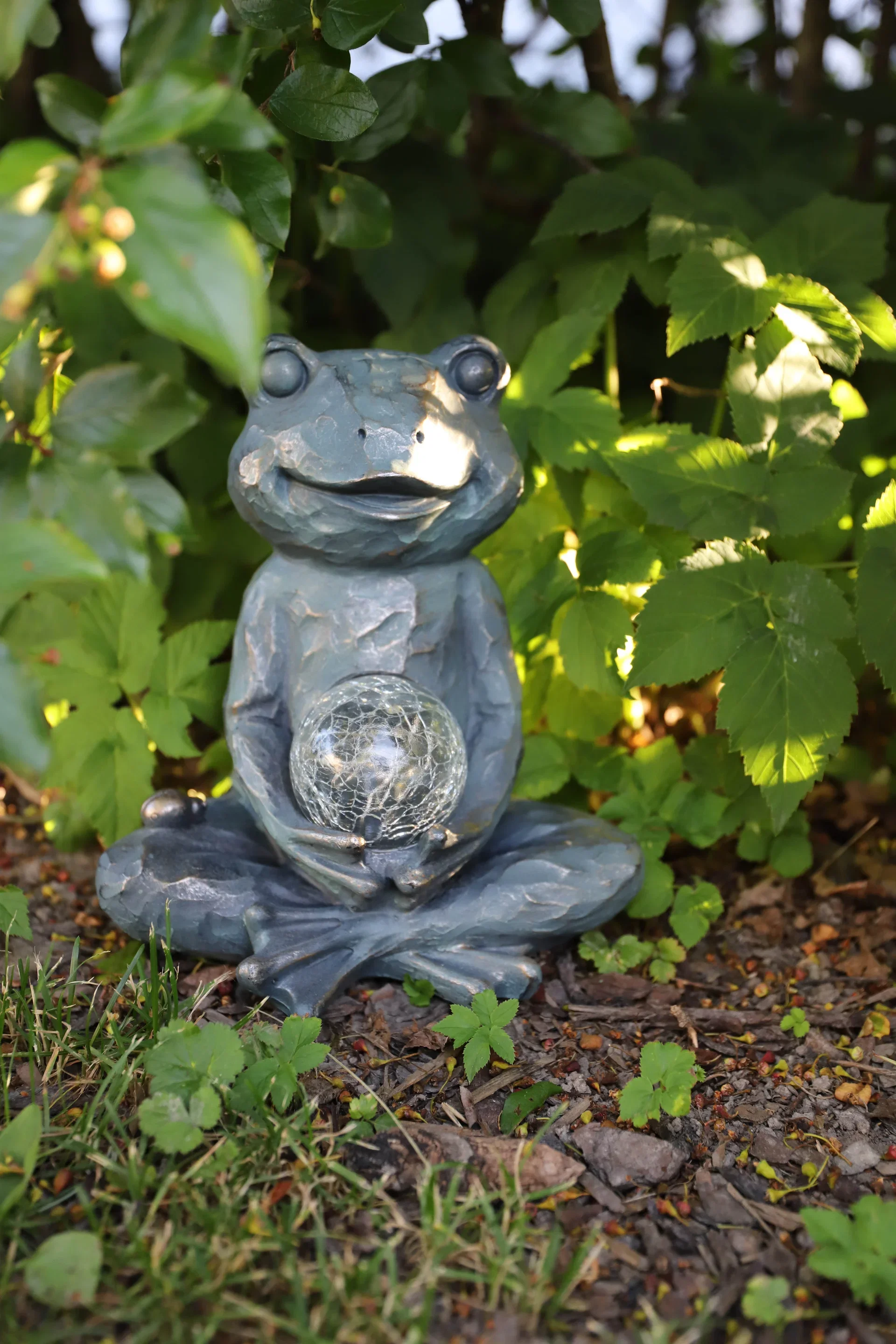 Frog Solar