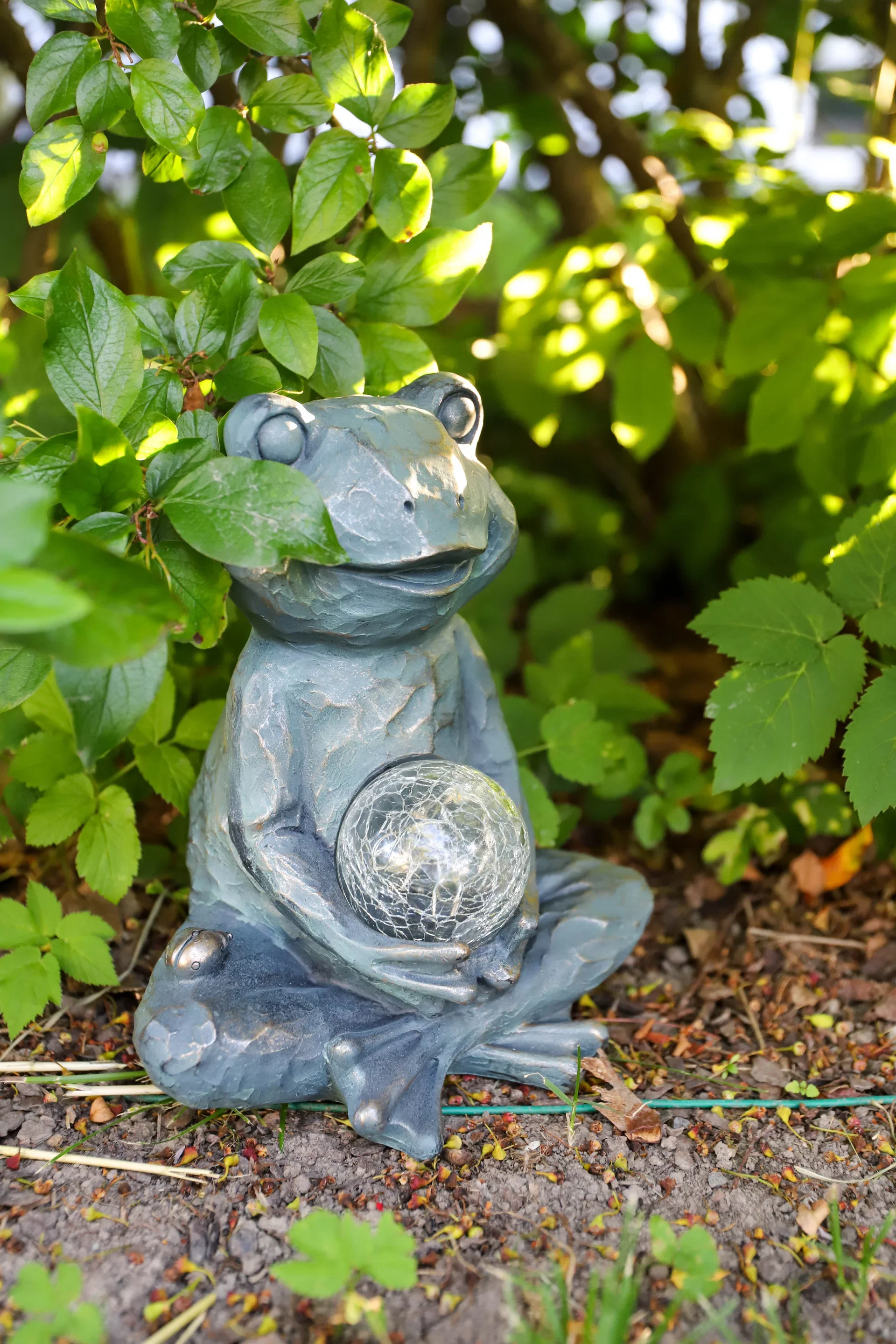 Frog Solar