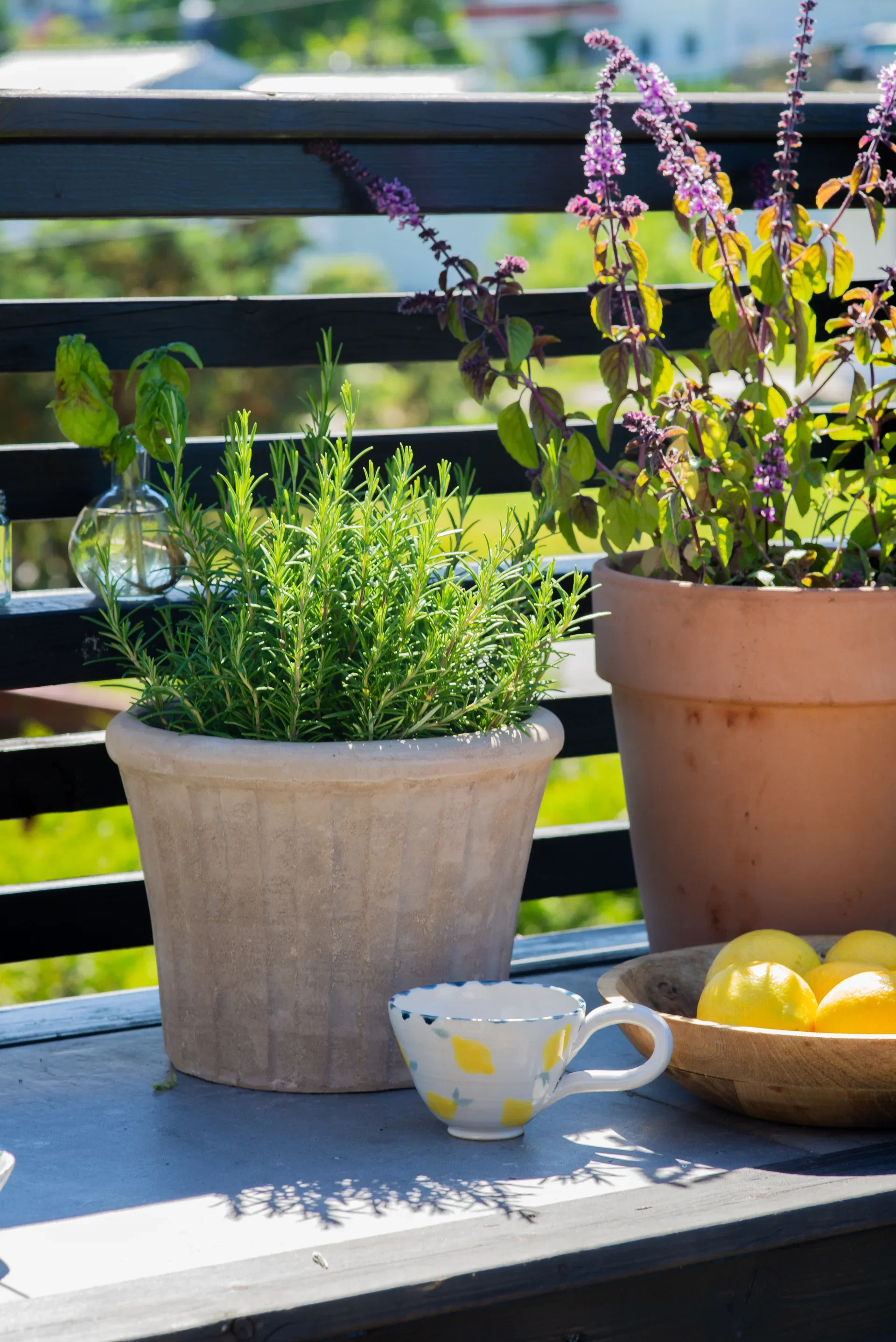 Marco terracotta pot D28 beige