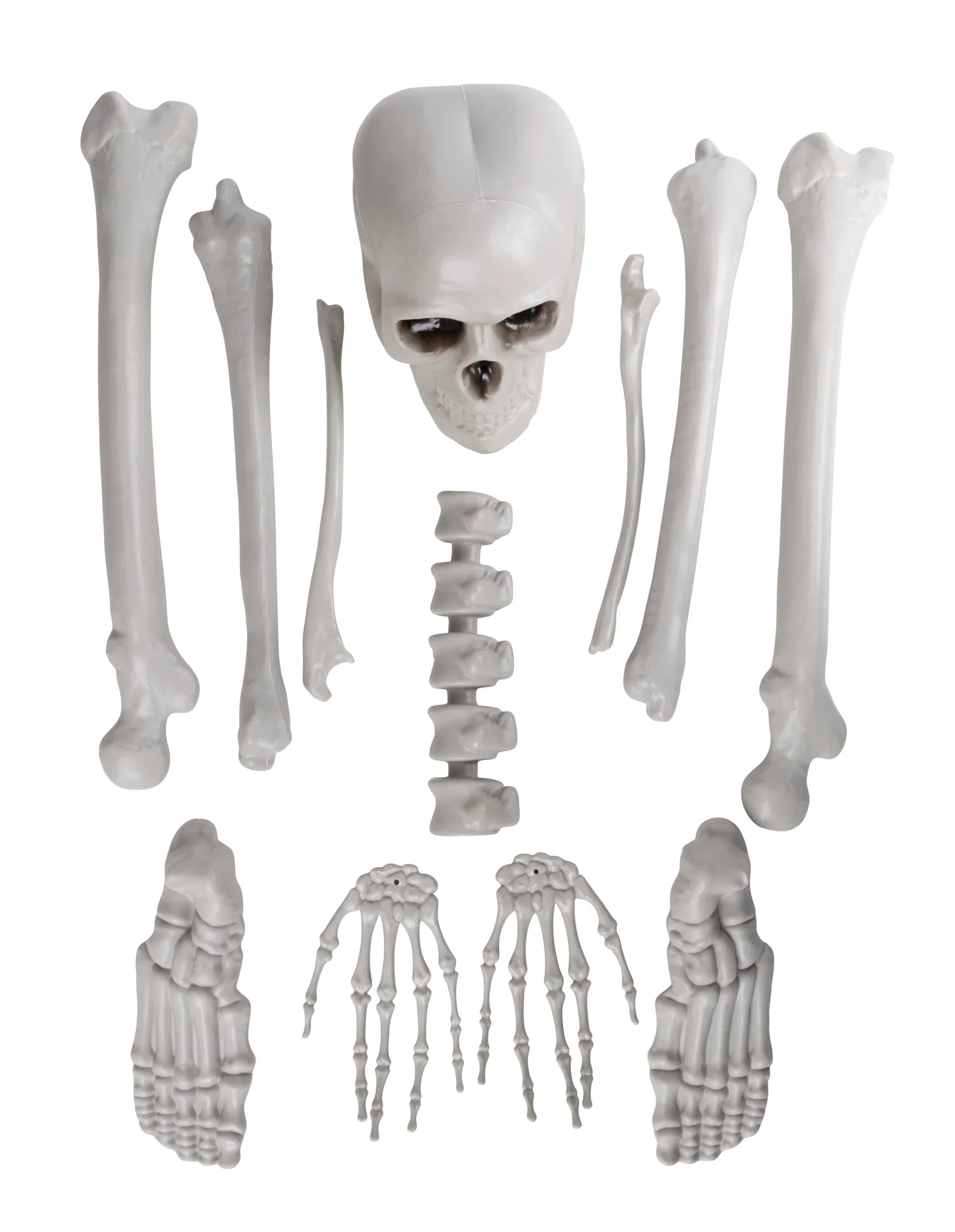 Halloween-dekoration skelettdelar