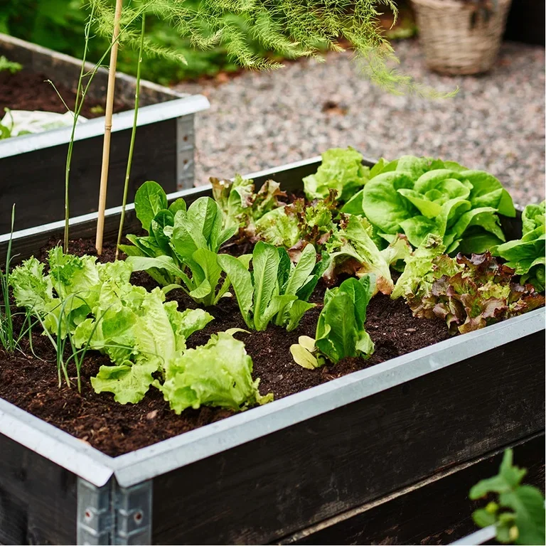 How many plants can you fit in a planter box?