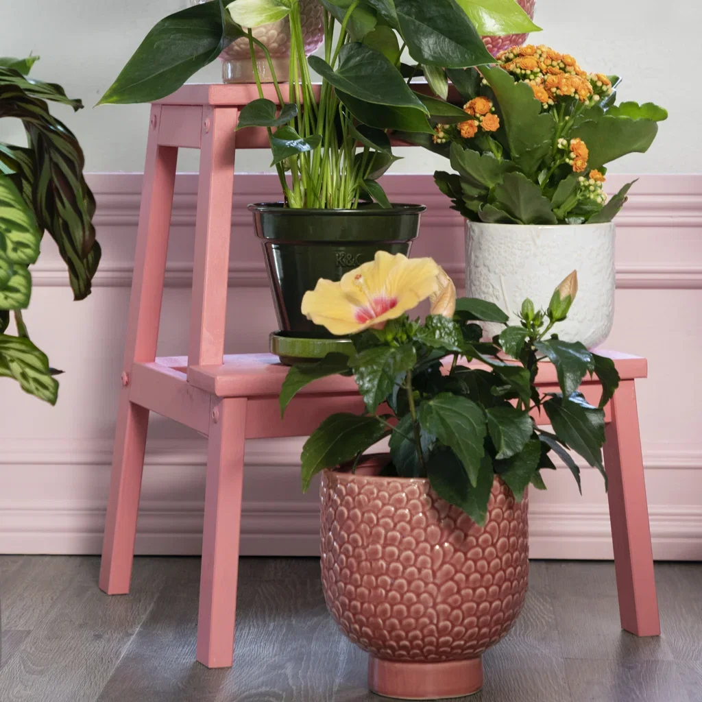 Blommande krukväxter – Inred efter säsong 