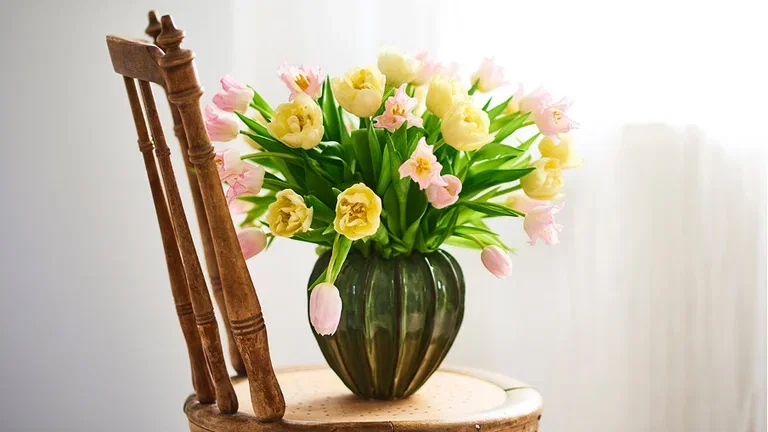 Snittblommor – så lyckas du 