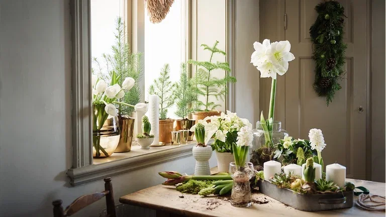 Julblommor som skapar julstämning