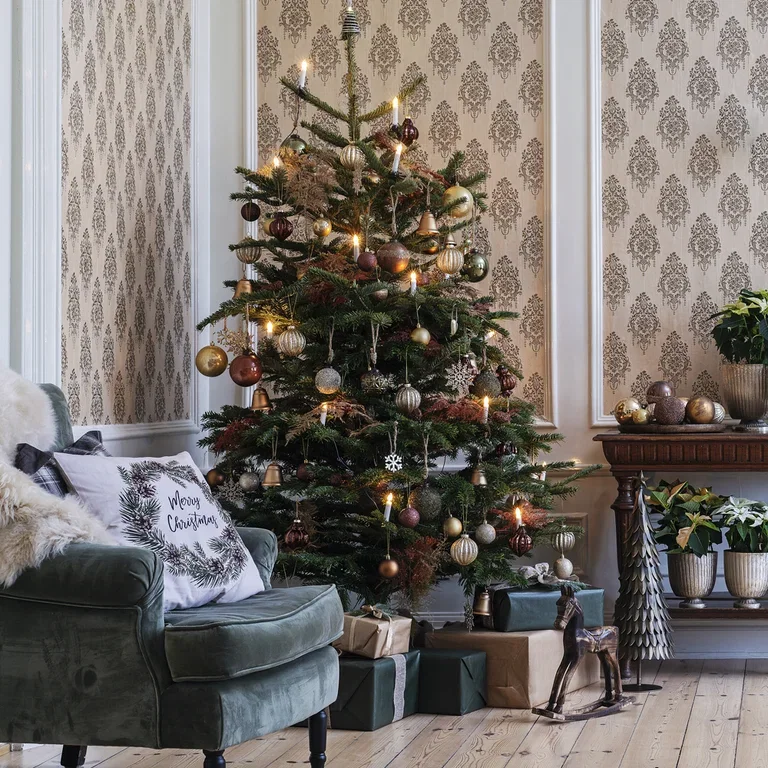 Så lyckas du med julgranen – tips och skötselråd 
