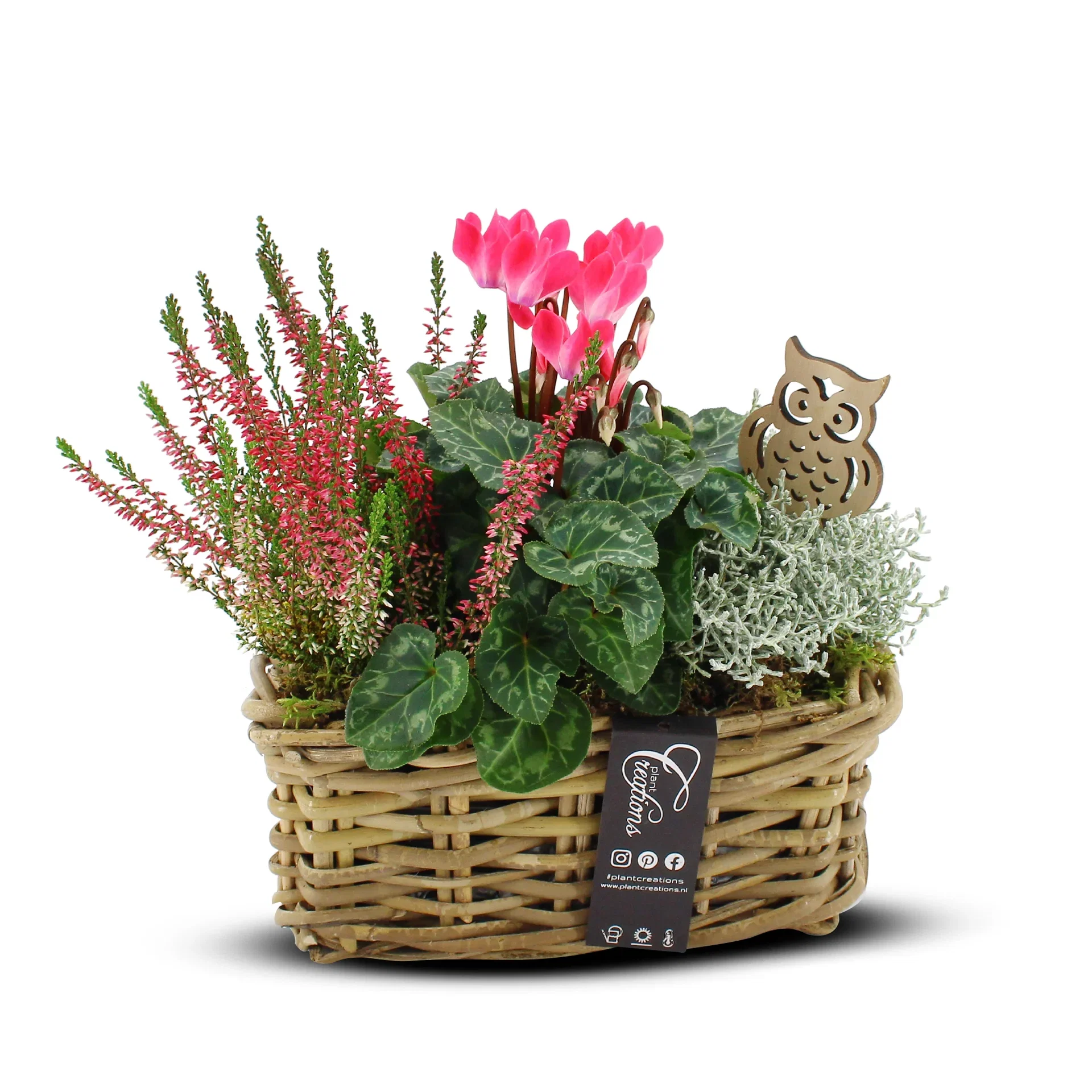 Autumn dec. Outdoor in basket white/pink