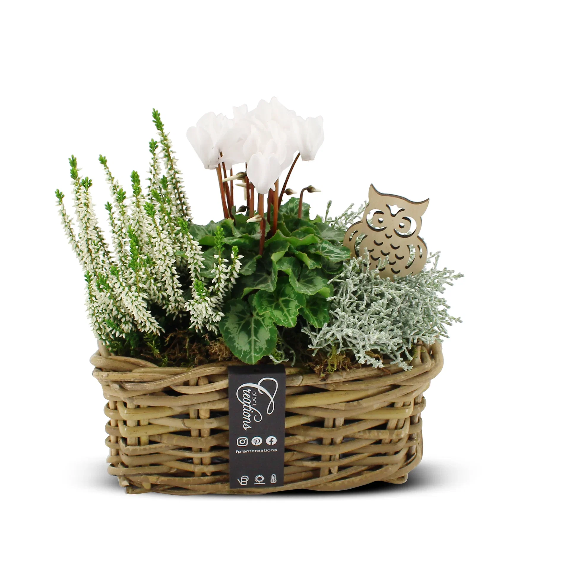 Autumn dec. Outdoor in basket white/pink