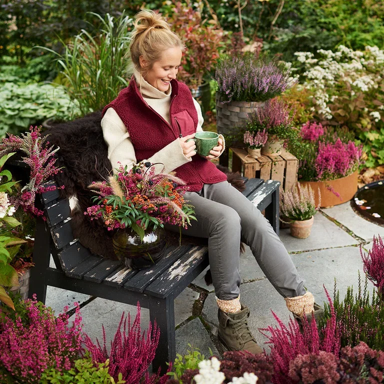 Ljung – plantering och skötsel 