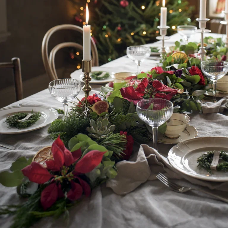 Julstjärna – fakta och skötselråd