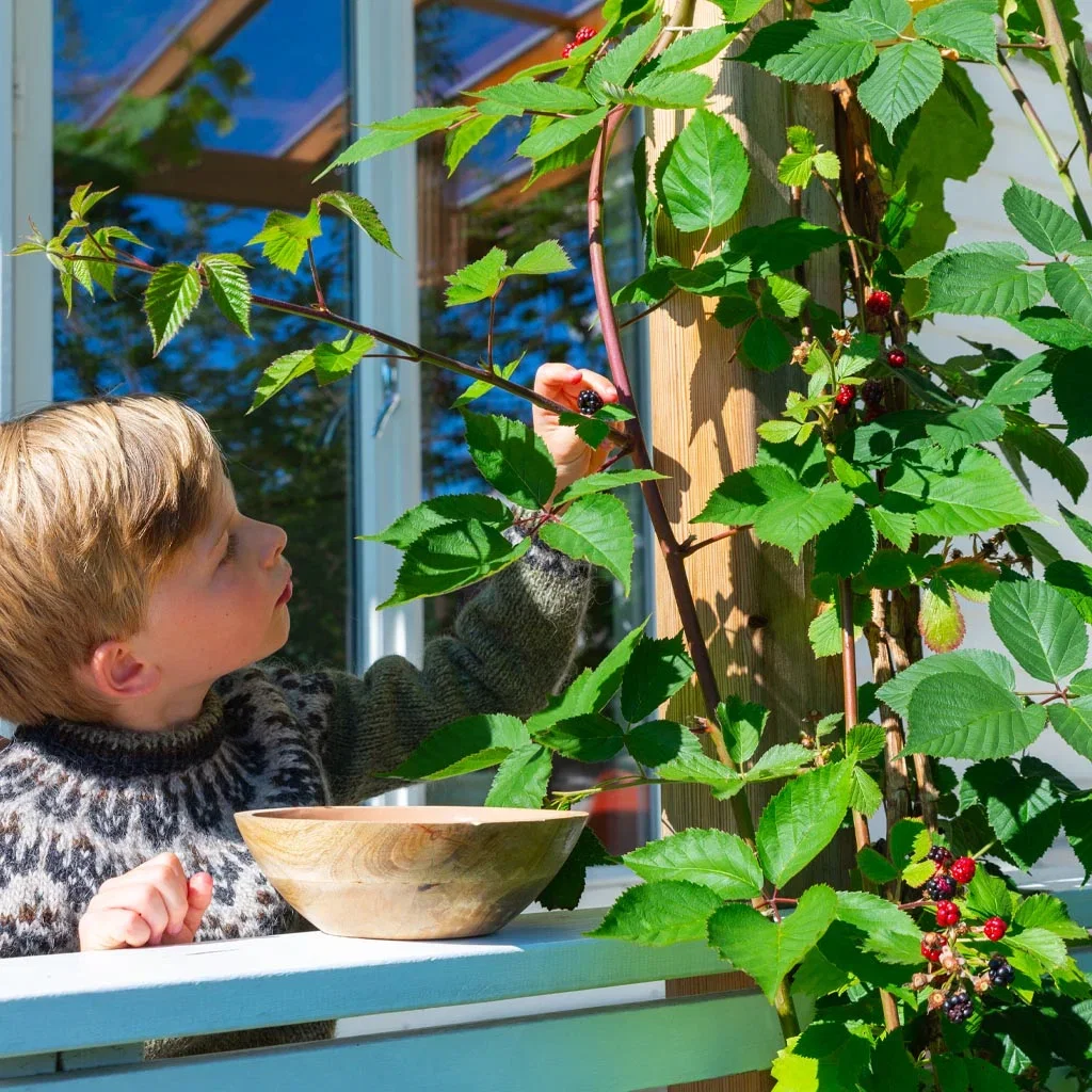 Sensommar i Thereses klassiska trädgård 