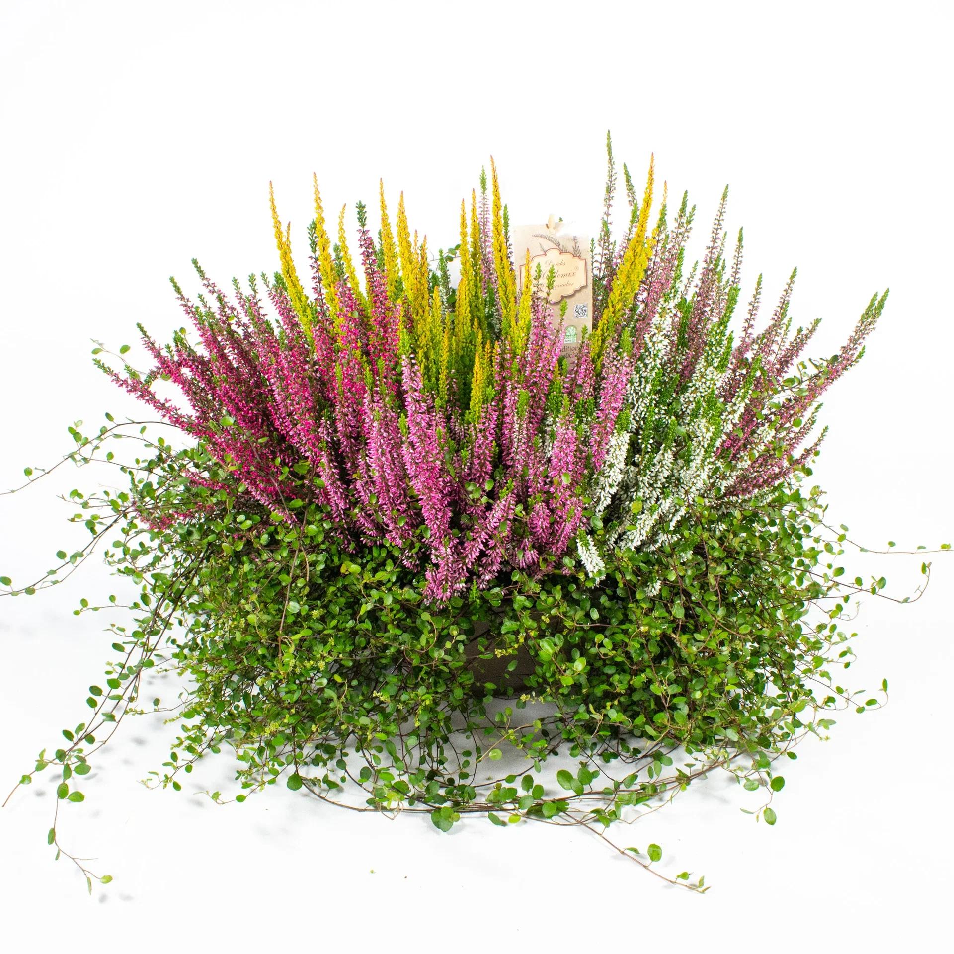 Romantic G. Heather bowl 30 cm