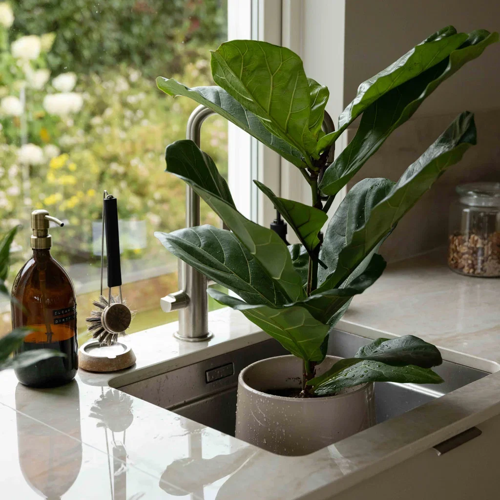 Nordisk stil – ombonad och sofistikerad
