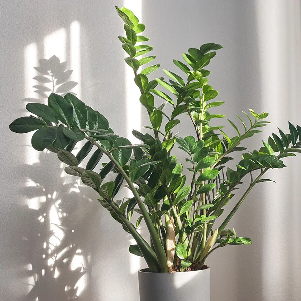 Nordisk stil – ombonad och sofistikerad